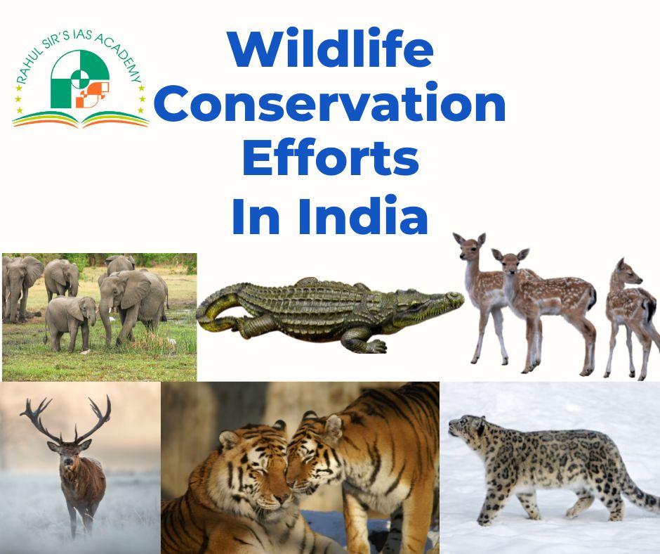 Wildlife conservation efforts in India