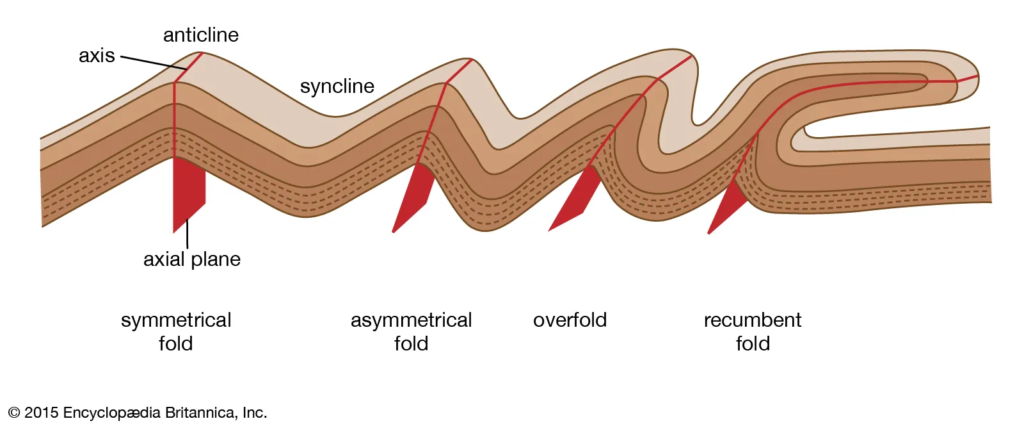 Endogenic Forces