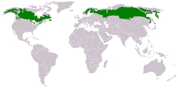 World Climate Zones Maps