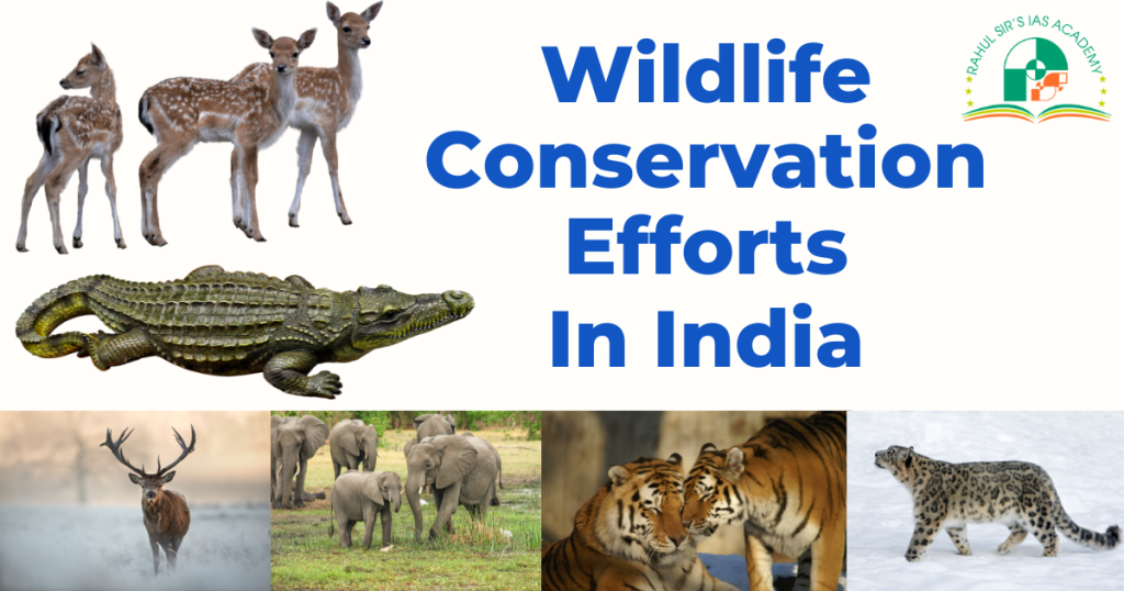 Wildlife conservation efforts in India