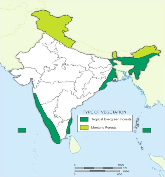 Natural Vegetation of India